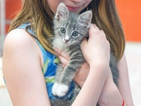 Animal Humane Society Girl Holding Kitten