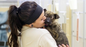 Animal Humane Society Woman Holding Puppy