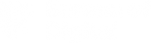 Bureau of Digital Logo