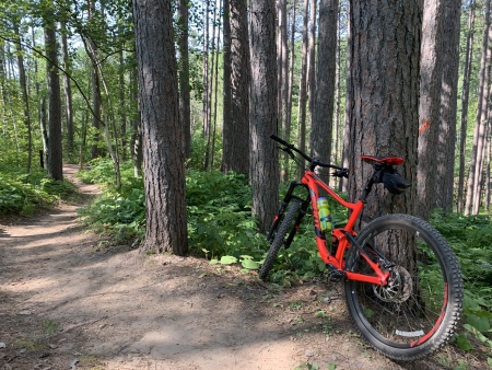 A mountain bike in the woods
