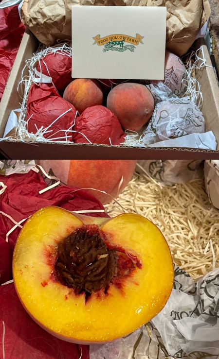 Frog Hollow box of peaces with one peach cut in half close up